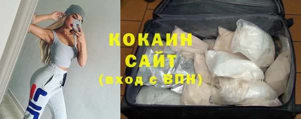 прущие грибы Арсеньев