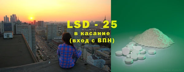 прущие грибы Арсеньев