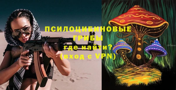 прущие грибы Арсеньев