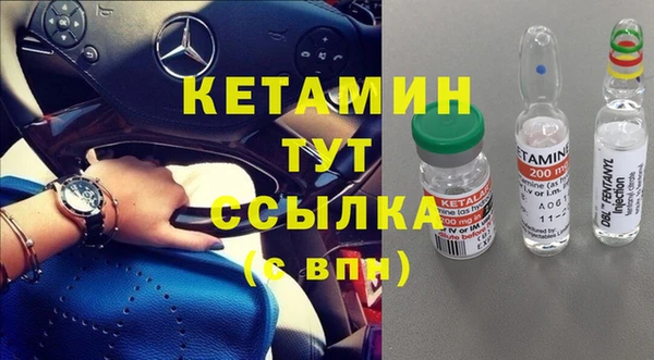мет Алексин