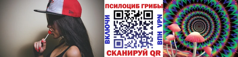 Псилоцибиновые грибы Cubensis  закладки  Афипский 